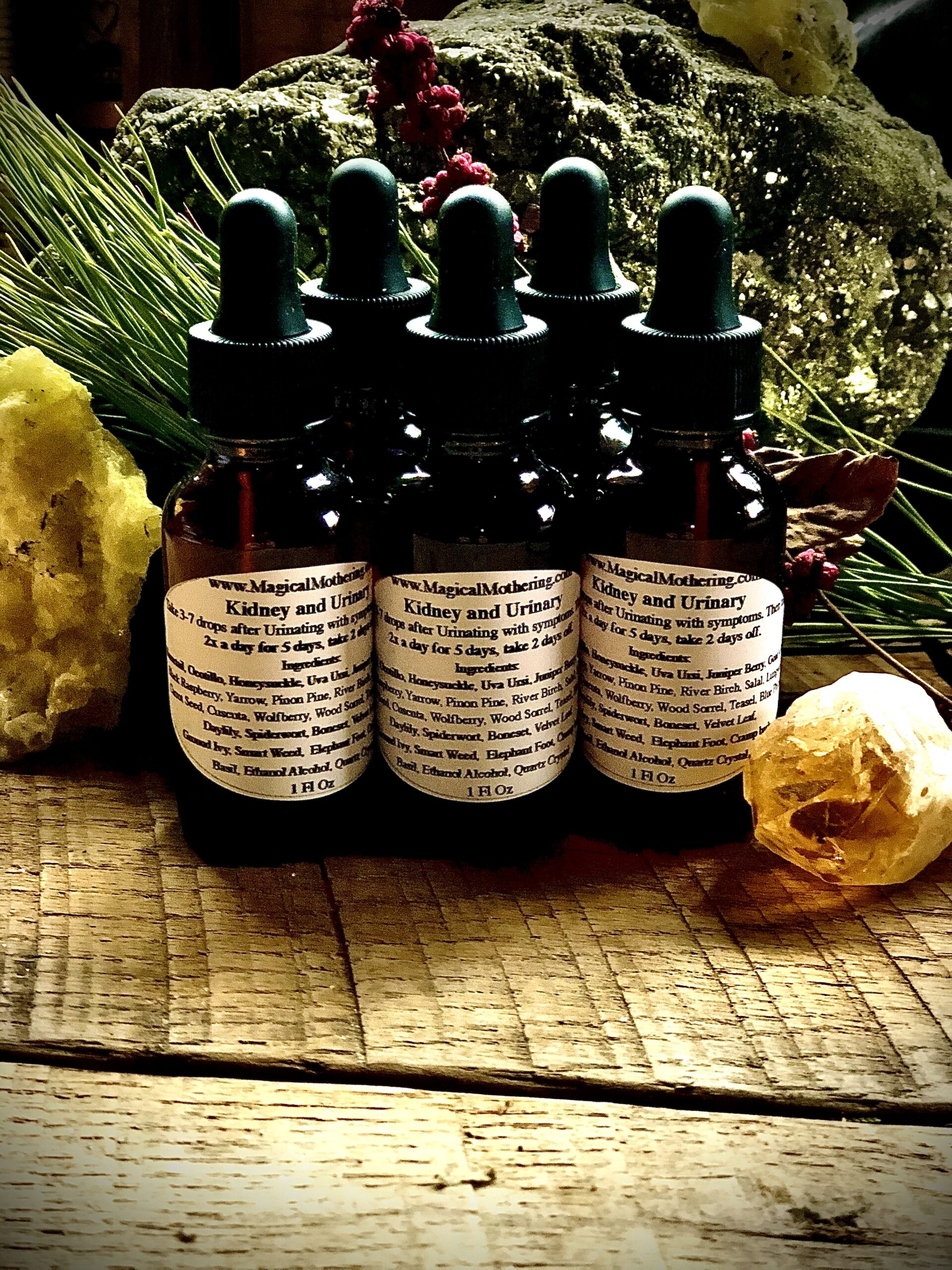 Kidney Repair and Urinary Support Potion